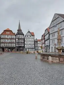 Maple Germany 2025 570093814 10162303184977934 2155822587117653407 n