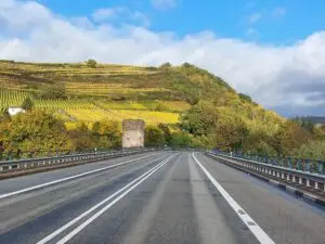 Maple Germany 2025 570302298 10162286534572934 7996230211848748881 n