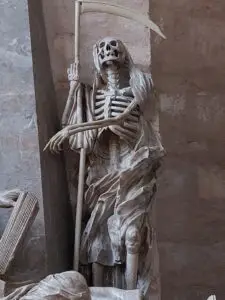 Maple Germany 2025 570426292 10162299244722934 7102887519992079910 n