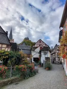 Maple Germany 2025 570466743 10162286538587934 9038302693816976430 n