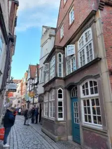 Maple Germany 2025 571229525 10162311833812934 490269200769893720 n