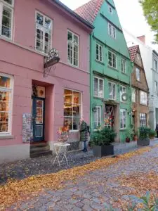 Maple Germany 2025 571348256 10162311840947934 7196341643927887931 n