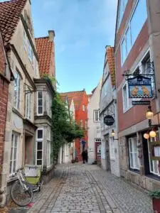 Maple Germany 2025 571735239 10162311836932934 6180906271568574658 n