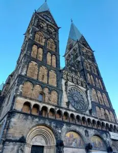 Maple Germany 2025 572043791 10162311826102934 1032842985702307585 n