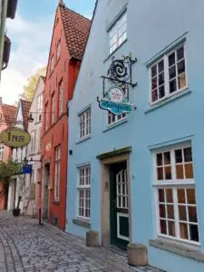 Maple Germany 2025 572787527 10162311838482934 762328895890350206 n