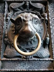 Maple Germany 2025 572975545 10162311817767934 6963498062420565516 n