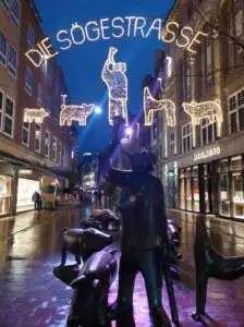 Maple Germany 2025 573040115 10162311754027934 4255619465449034583 n