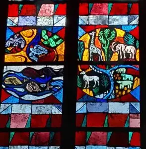 Maple Germany 2025 573322019 10162311754567934 319528237112351620 n