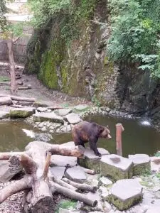 Prague 2023 Český krumlov09