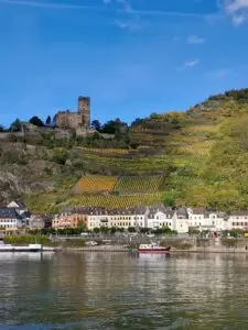 Maple Germany 2025 from river rhine 04