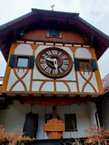 Maple Germany 2025 in triberg 3