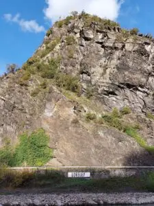 Maple Germany 2025 lorilei