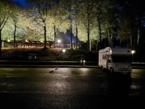 Maple Germany 2025 maple in skive