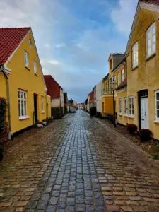 Maple Germany 2025 ribe (4)