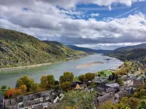 Maple Germany 2025 river rhine 0022