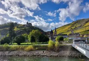 Maple Germany 2025 river rhine 03