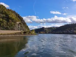 Maple Germany 2025 river rhine 232