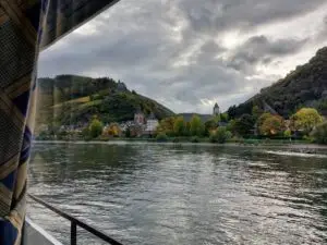 Maple Germany 2025 river rhine 30