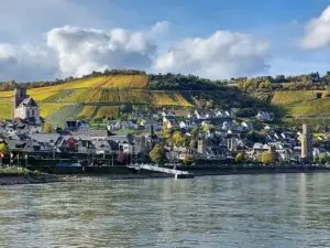 Maple Germany 2025 river rhine 33