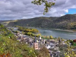 Maple Germany 2025 river rhine 4