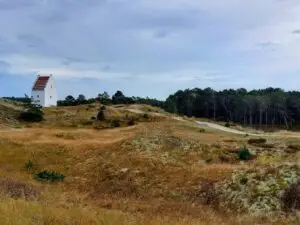 Maple Germany 2025 sand dunes near skagen
