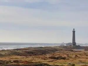 Maple Germany 2025 skagen (4)