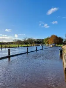 Maple Germany 2025 tide river (2)