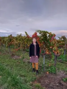 Maple Germany 2025 wineyard in musbach 2