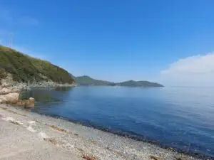 Japan 2024 515321898 10161747672382934 8269201954569273656 n