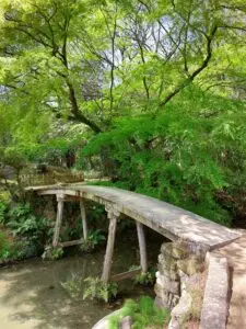 Japan 2024 515433030 10161747664377934 9024182504740218739 n