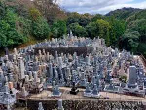 Japan 2024 515441887 10161747063192934 8184537948837069474 n