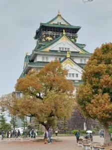 Japan 2024 515492017 10161747061367934 5664294664676573283 n