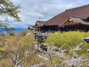 Japan 2024 515493751 10161747063137934 4658876651105323300 n