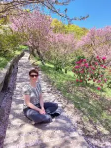 Japan 2024 515493824 10161747543627934 7566359391537058088 n