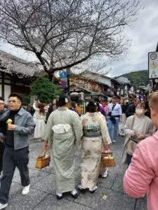 Japan 2024 515495726 10161747063182934 4665275720799563329 n