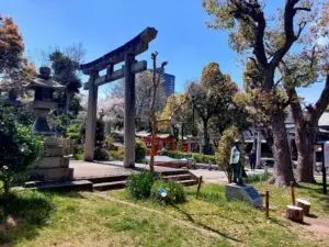 Japan 2024 515502363 10161747280847934 4460316750522465787 n