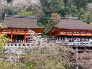 Japan 2024 515509167 10161747063117934 2817735615813844460 n