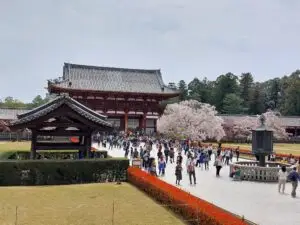 Japan 2024 515511710 10161747174522934 1390990839489758150 n