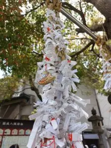 Japan 2024 515514154 10161747138432934 6693387430571915205 n