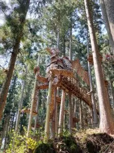 Japan 2024 515536905 10161747794402934 3303644328494116856 n