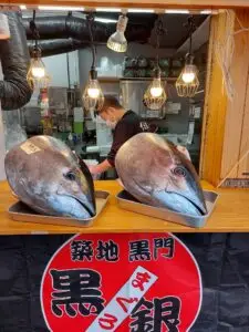 Japan 2024 515540384 10161747137997934 2454594226849490751 n