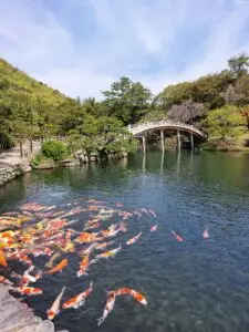 Japan 2024 515545778 10161747663942934 7240409999852881669 n