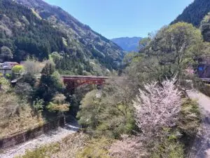 Japan 2024 515553713 10161747793872934 1456267904899243720 n