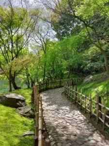 Japan 2024 515556762 10161747664342934 8914731221036526353 n