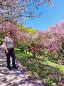 Japan 2024 515582244 10161747543637934 5832180116584446273 n