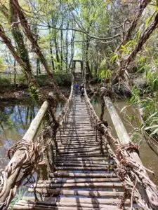 Japan 2024 515591056 10161747543567934 3416106005848998972 n