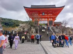 Japan 2024 515662575 10161747062737934 409731118587127425 n