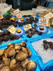 Japan 2024 515667066 10161747138347934 8735515677752594107 n