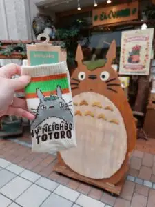 Japan 2024 515674805 10161747541892934 7939041552894843238 n