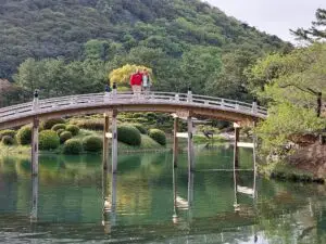 Japan 2024 515687477 10161747543437934 3882679538418879293 n